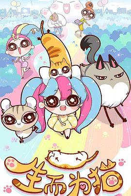 seo站群有哪些平台